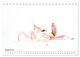 Thumbnail-10
