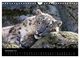 Thumbnail-13