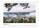 Thumbnail-14