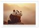 Thumbnail-7