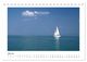 Thumbnail-12