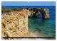 Thumbnail-8