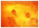 Thumbnail-13