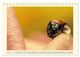 Thumbnail-11