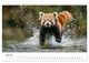 Thumbnail-12