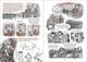 Thumbnail-8