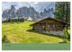 Thumbnail-8