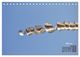 Thumbnail-10