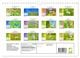 Thumbnail-13