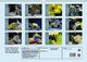 Thumbnail-10