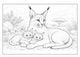 Thumbnail-16