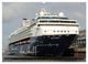 Thumbnail-14