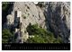 Thumbnail-8