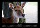 Thumbnail-11