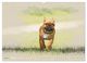 Thumbnail-9