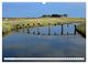 Thumbnail-12