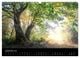 Thumbnail-11