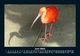 Thumbnail-10