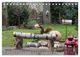 Thumbnail-9