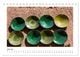 Thumbnail-8