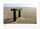 Thumbnail-11