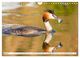 Thumbnail-10