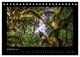 Thumbnail-14