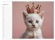 Thumbnail-13