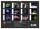 Thumbnail-4