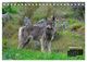 Thumbnail-14