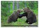 Thumbnail-10