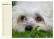 Thumbnail-11