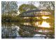 Thumbnail-9