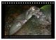 Thumbnail-10