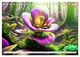Thumbnail-11