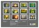 Thumbnail-4