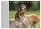 Thumbnail-12