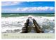 Thumbnail-11