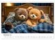 Thumbnail-13