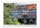 Thumbnail-10