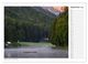 Thumbnail-11
