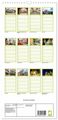Thumbnail-8