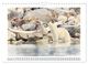Thumbnail-13