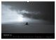 Thumbnail-14