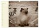 Thumbnail-10