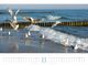 Thumbnail-11