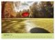 Thumbnail-14