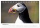Thumbnail-14