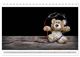 Thumbnail-11