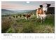 Thumbnail-14